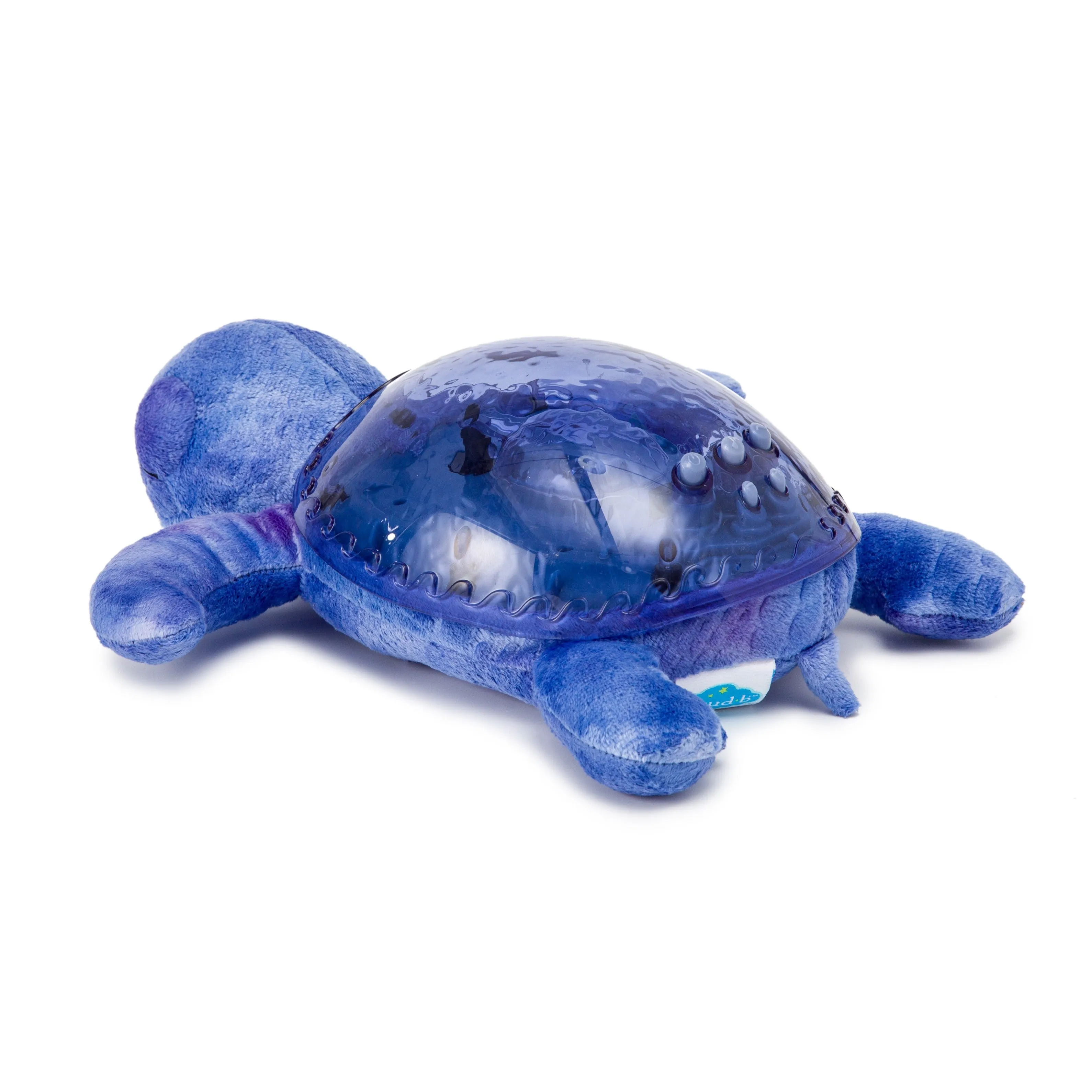 Cloud b -Tranquil Turtle | Soothing Projector Nightlight Ocean