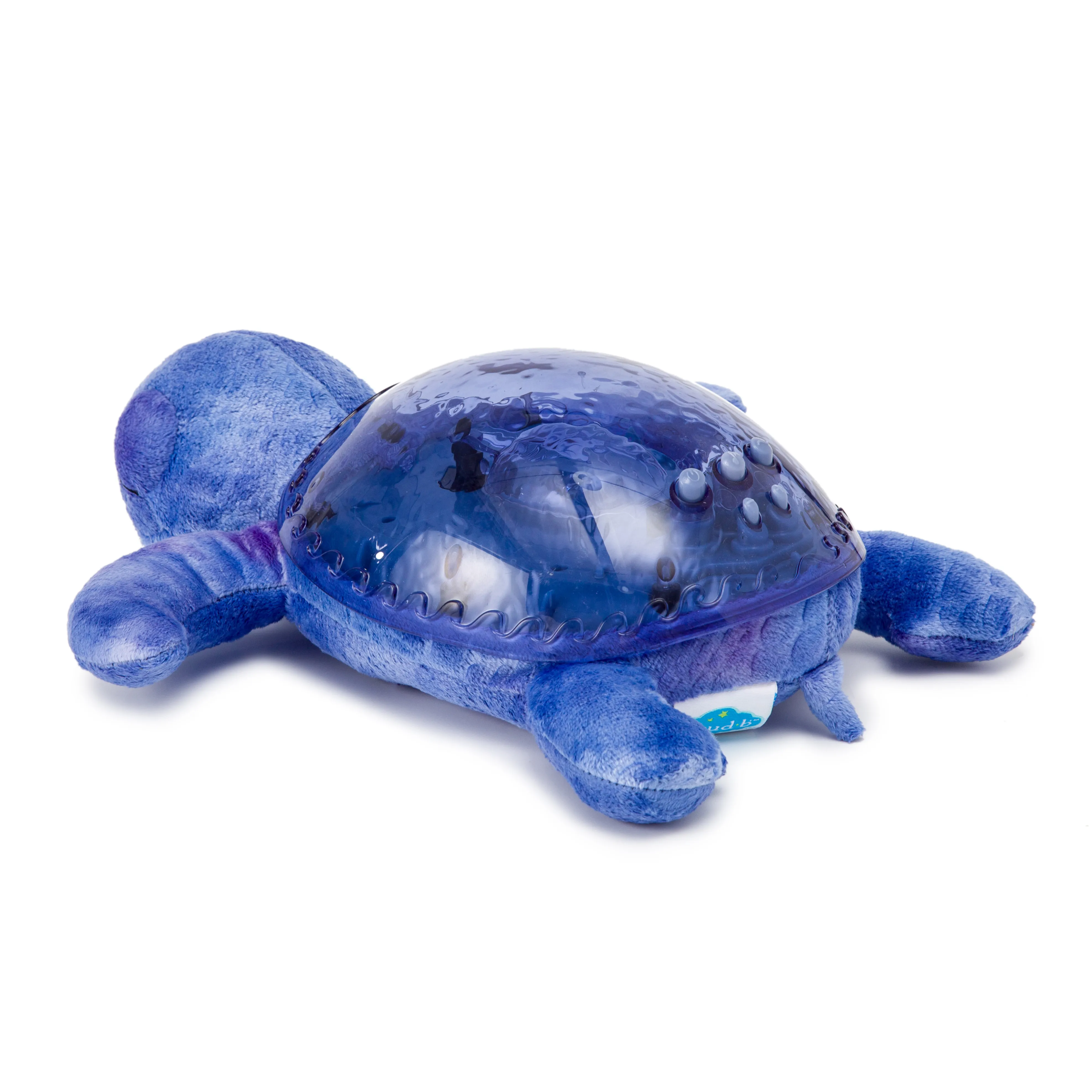 Cloud b -Tranquil Turtle | Soothing Projector Nightlight Ocean