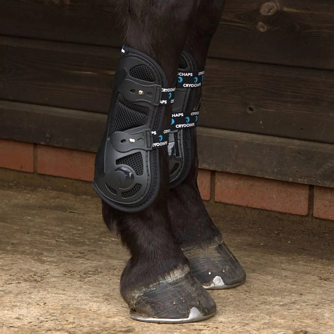 Cryochaps Exoskeleton Tendon Boots - Black