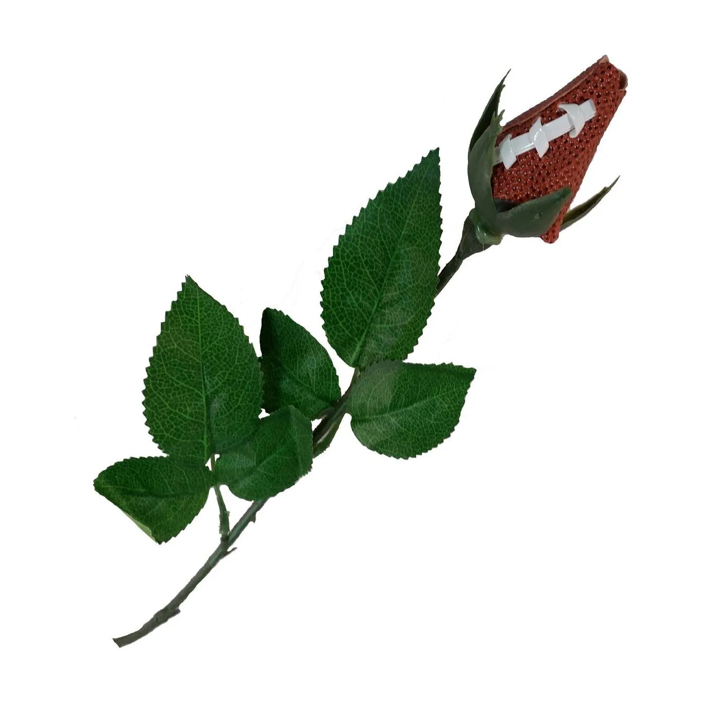 Football Sports Rose