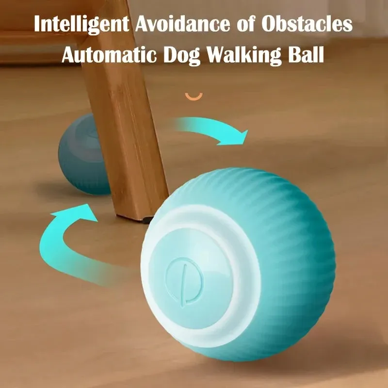 Fun Auto Rolling Ball - USB Chargeable Interactive Training Ball for Small Pets | Perfect for Pet Owners