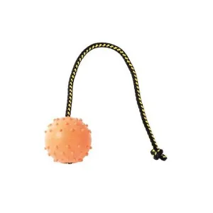 KLIN Solid Rubber Ball on a String with Knot