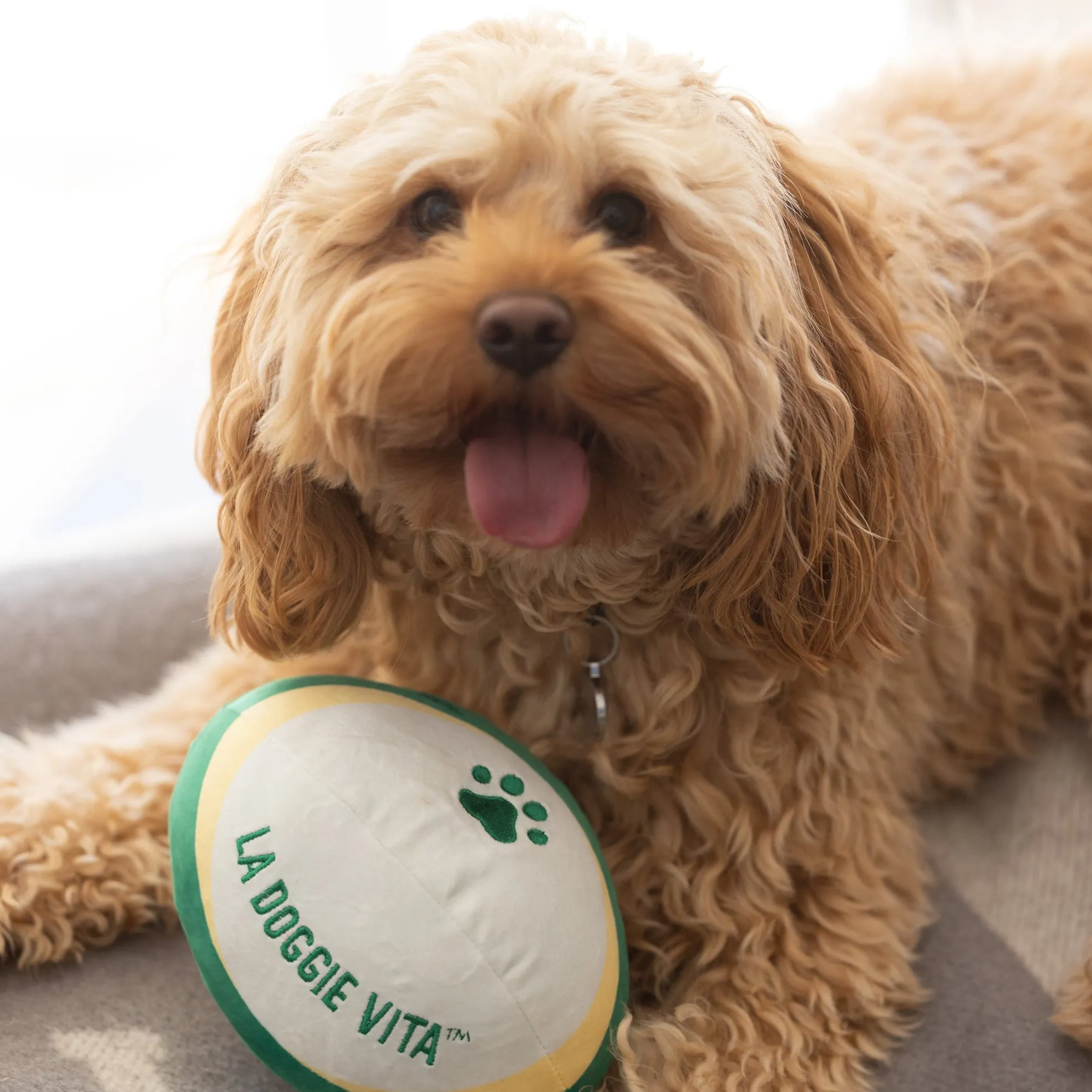 NEW COLLECTION: Plush Paw Rugby Ball with Squeaker