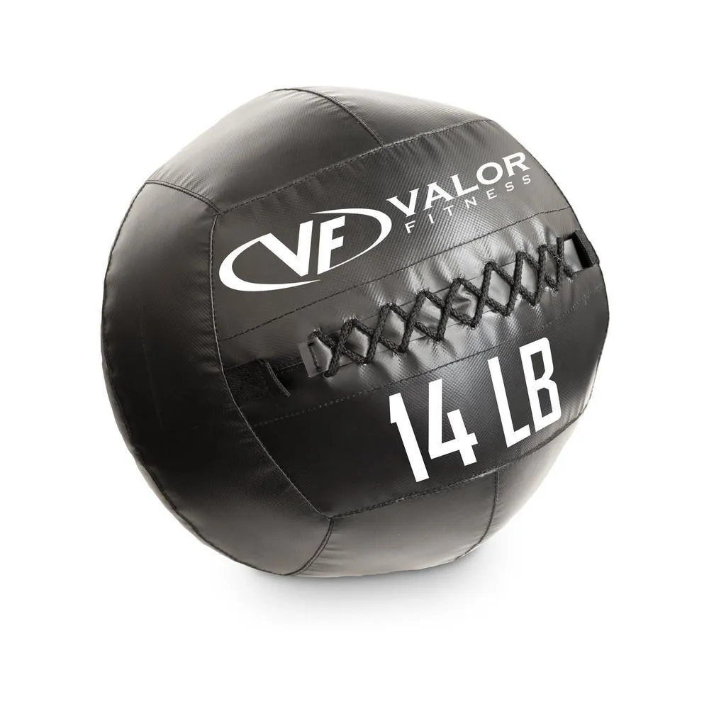 Premium Commercial Grade Wall Balls (6-30lbs)