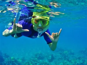 Snorkeling Course